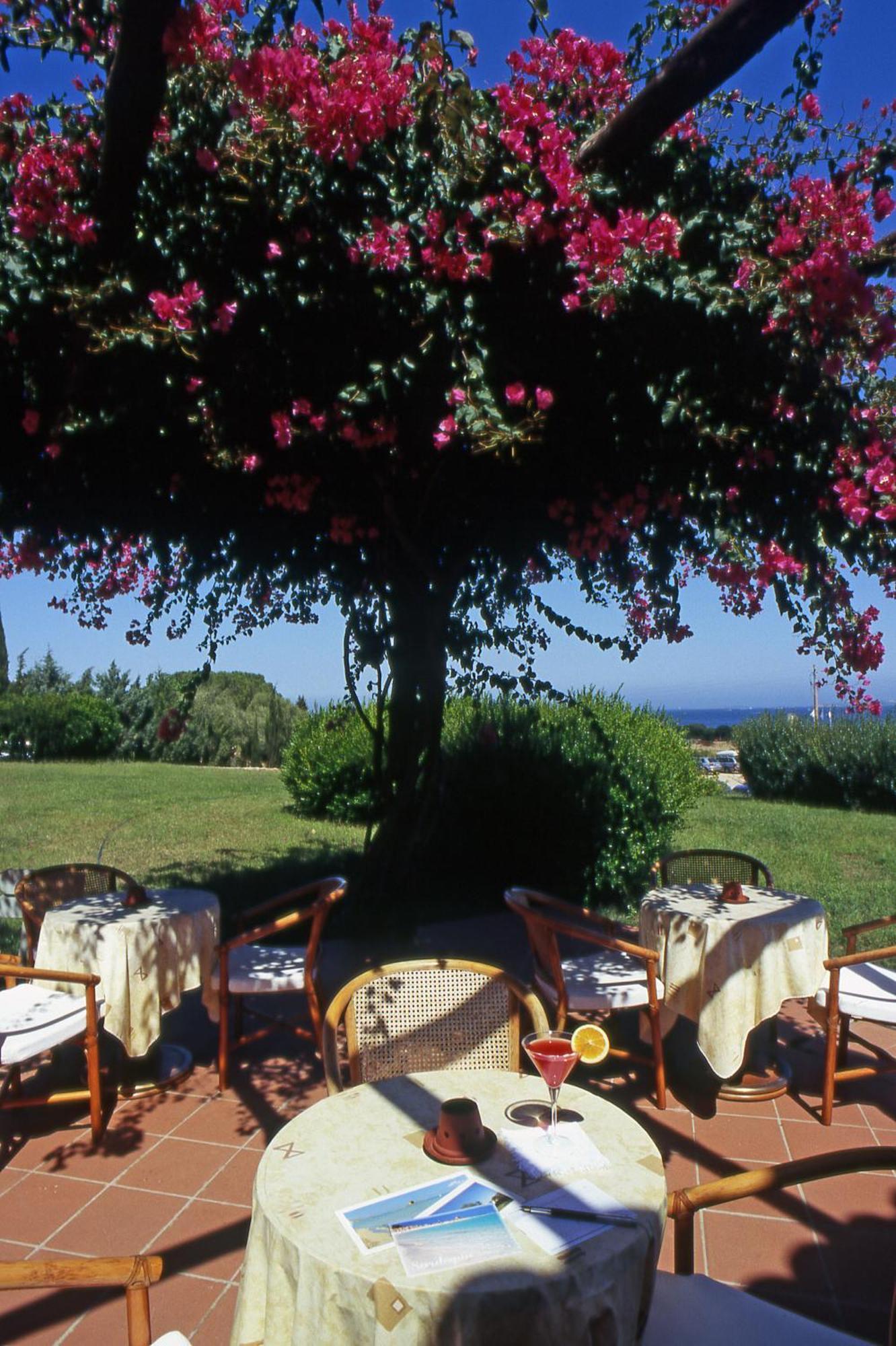 Hotel Stelle Marine Cannigione Exterior photo