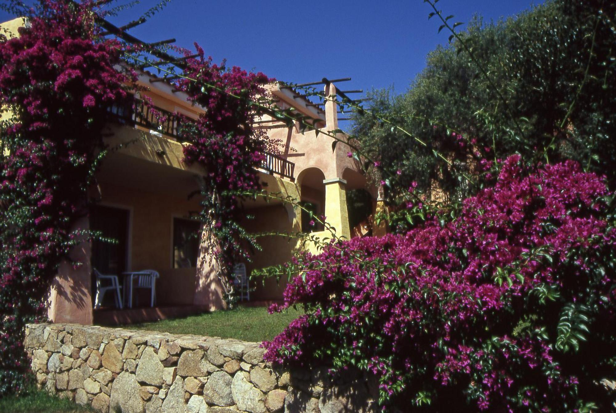 Hotel Stelle Marine Cannigione Exterior photo